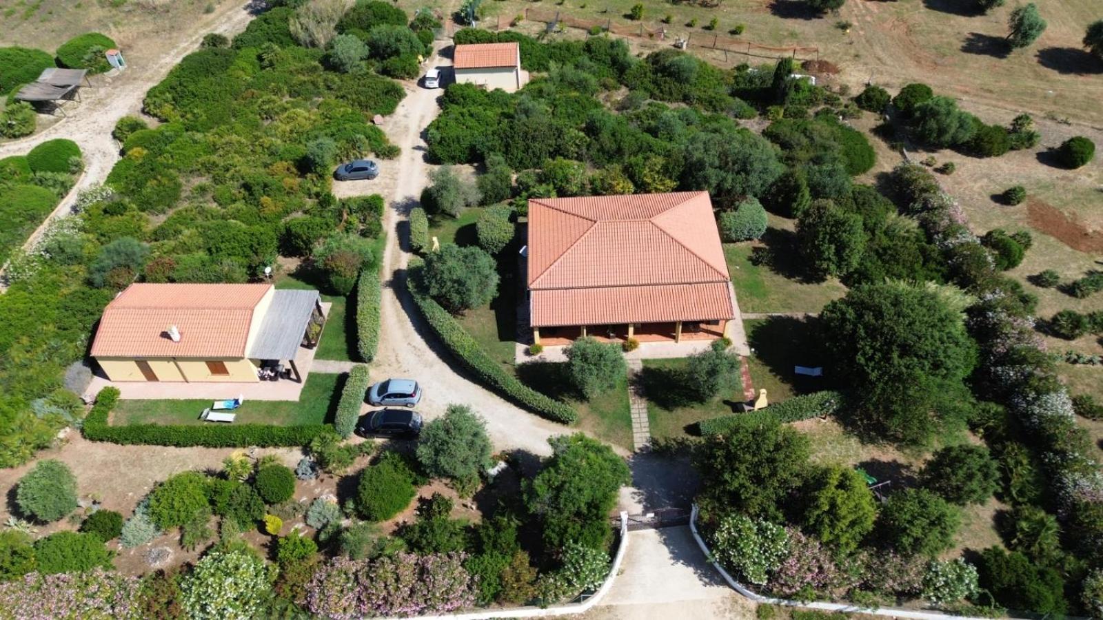 Rosanna House In Bombarde Beach Alghero Eksteriør billede