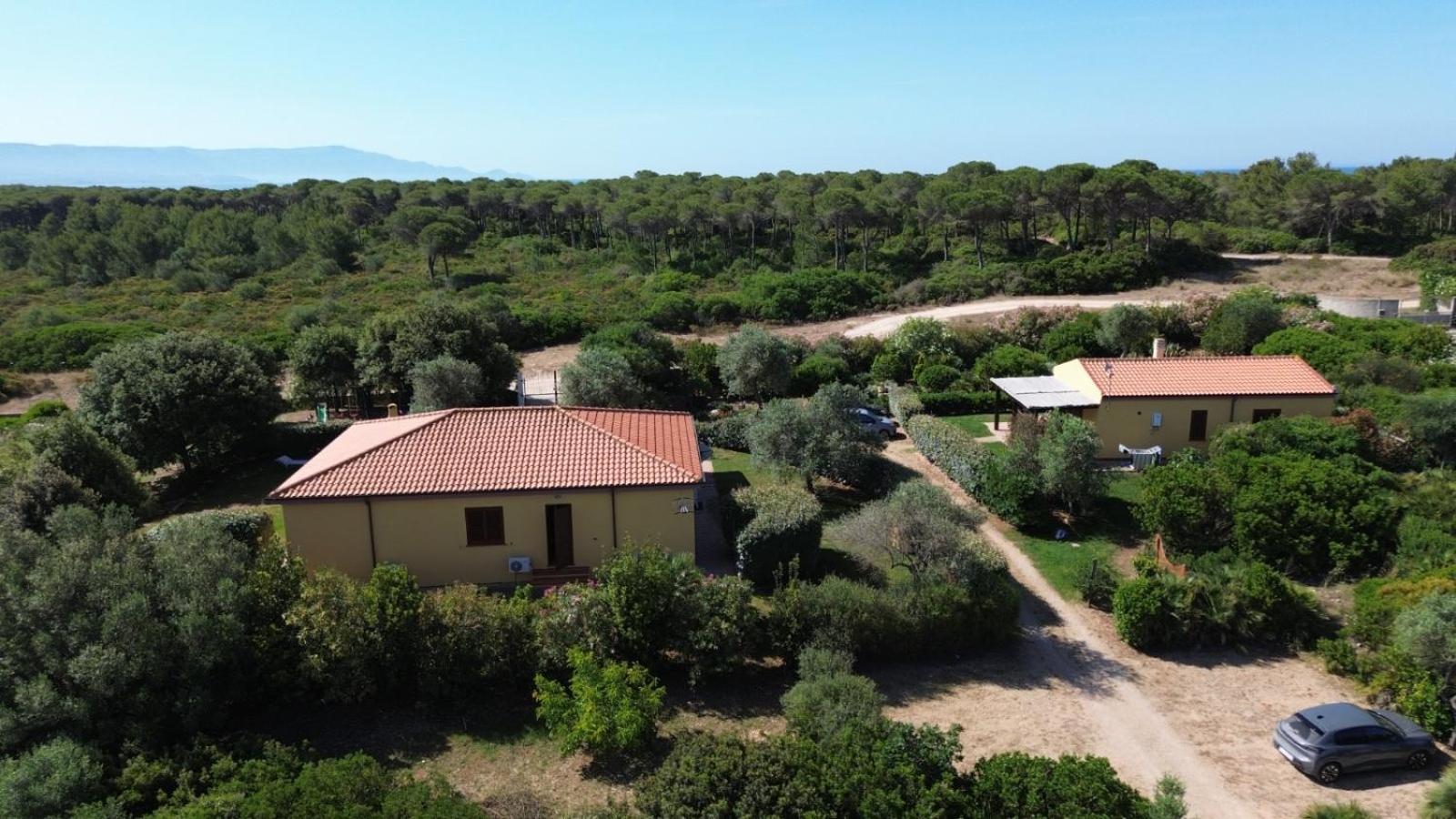 Rosanna House In Bombarde Beach Alghero Eksteriør billede